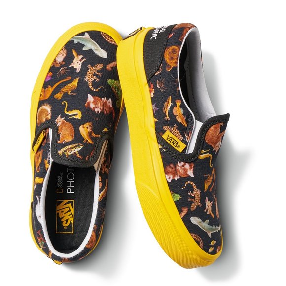 vans national geographic slip on